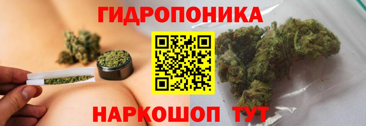 Марихуана тримм  Канабис Bruce Banner  Вход с VPN  Шумерля  Конопля VHQ  Марихуана White Widow 
